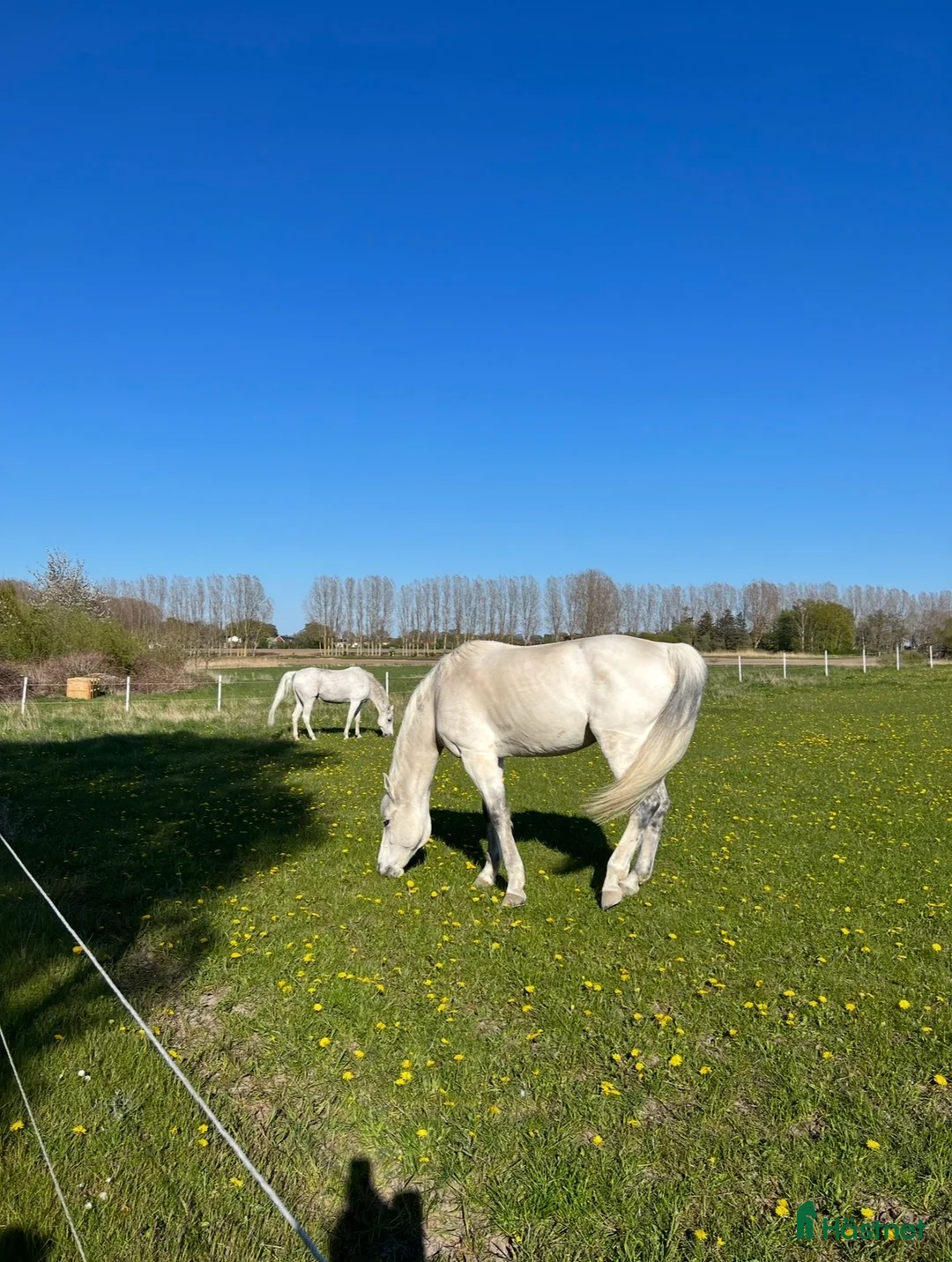  stallplats finnes: Stallplats i Strövelstorp  - Annons 1