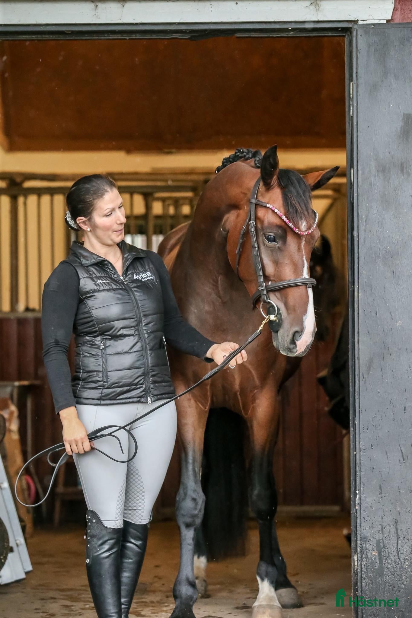  hästservice Utbildning tävling försäljning samt inridning  i Falkenberg - Annons 4