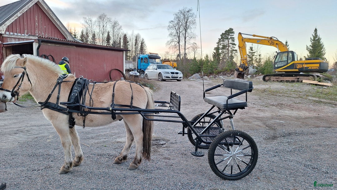 Körvagnar körning till salu: Drive Out rockard för d-ponny och storhäst i Sandarne - Annons 1