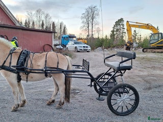Körvagnar körning till salu: Drive Out rockard för d-ponny och storhäst i Sandarne - Annons 8