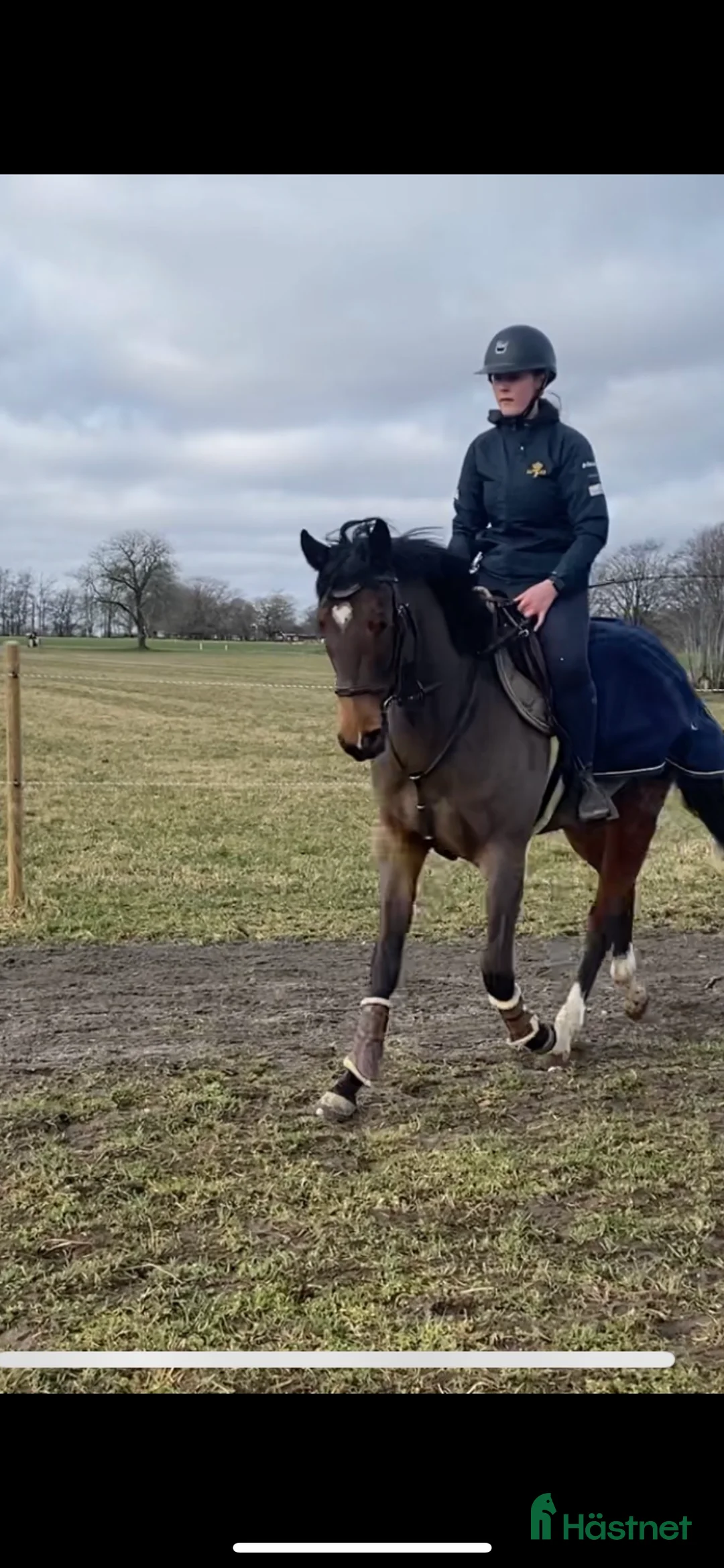  hästservice finnes: Inridning/igångsättning/konvalescens/försäljning - Annons 3