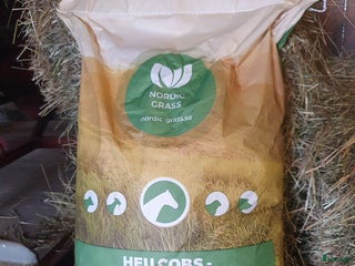 hästservice finnes i Vagnhärad - Annons 2