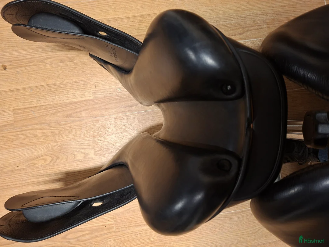 Sadlar hästutrustning till salu: Equipe Expression - Annons 7