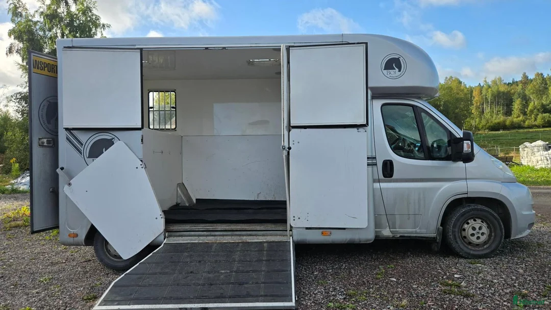 Hästlastbilar  fordon & transport till salu: Bkortsbuss Fiat Ducato/Boj 2007 - Annons 2