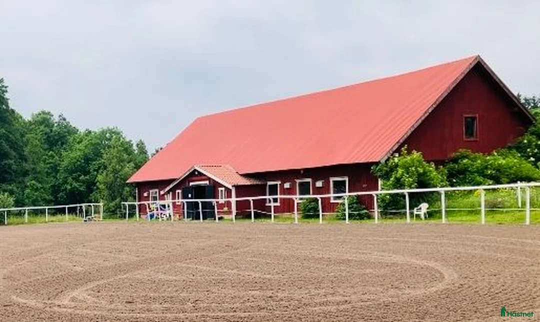  stallplats finnes: Ledig plast i vårt kollektivstall på Skörby Gård! i Bålsta - Annons 2
