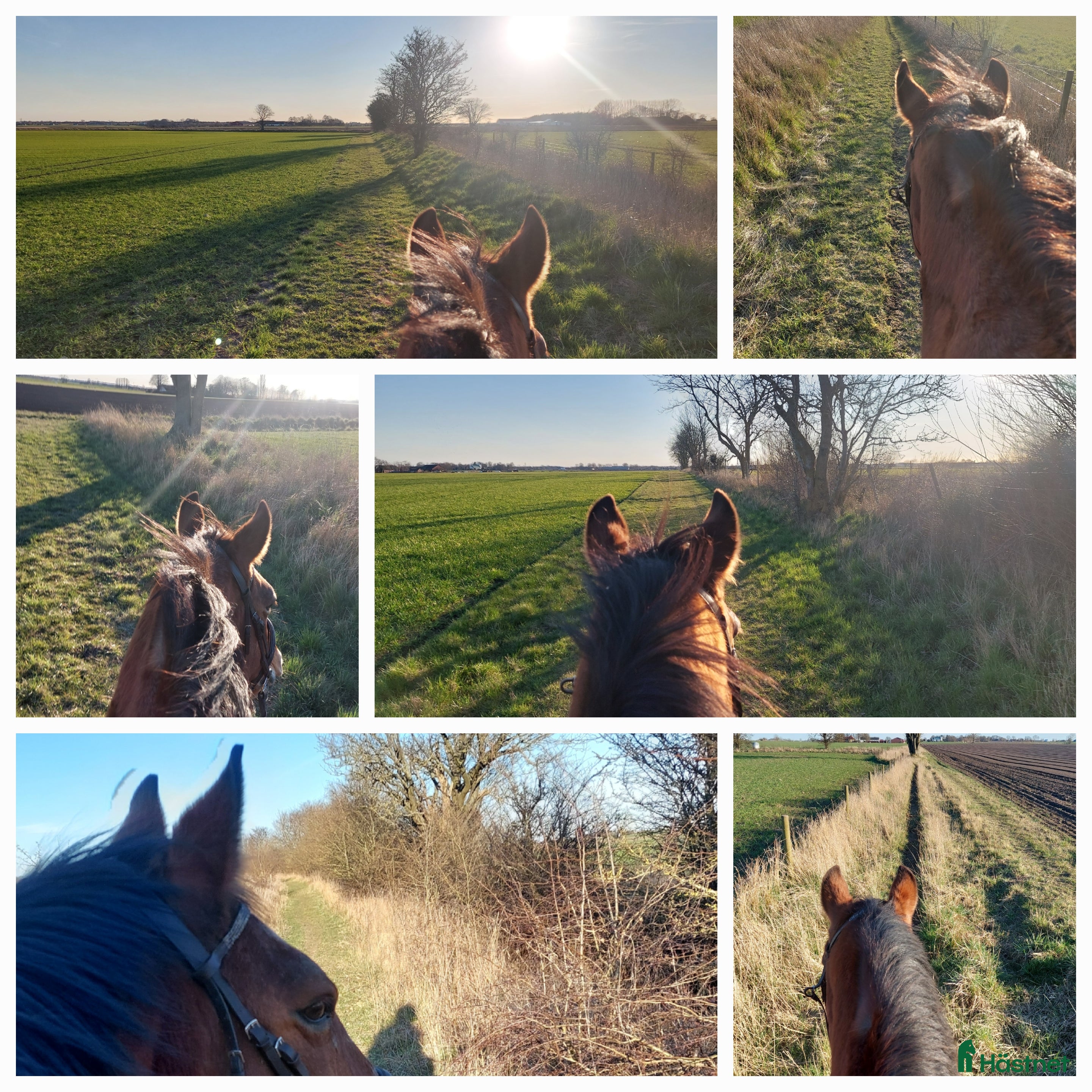  stallplats Vellinge & Höllviken Stallplats - Annons 3