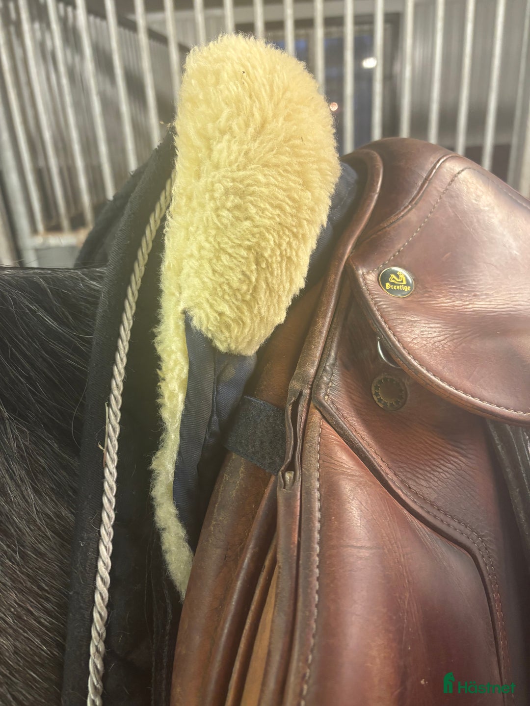 Sadlar hästutrustning till salu: Prestige Paris  i Malung - Annons 3