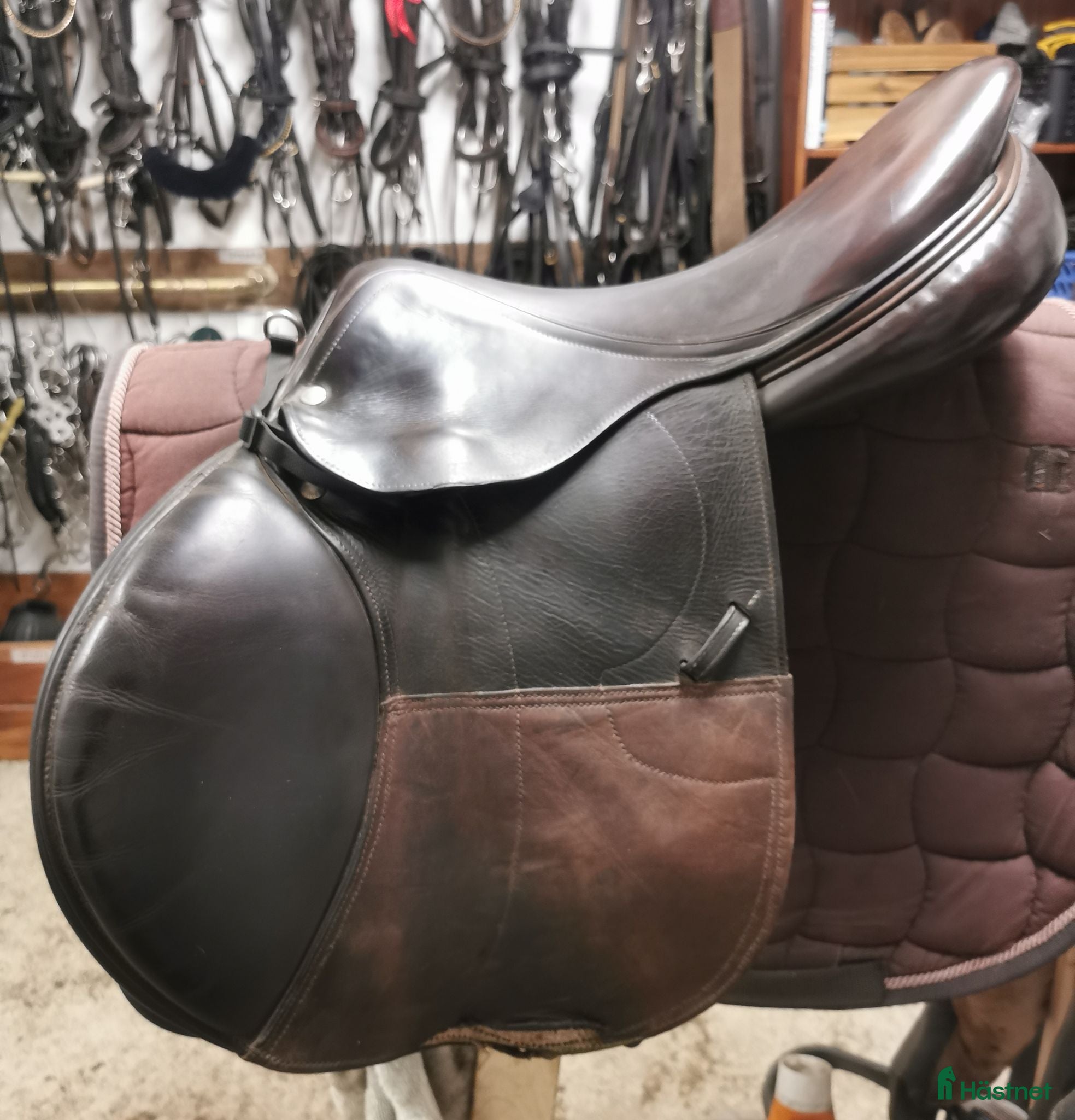 Sadlar hästutrustning till salu: Equipe Extreme 17" - Annons 2