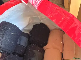 Övrig Hästutrustning hästutrustning Fleecelindor 10 st i Kolmården - Annons 10