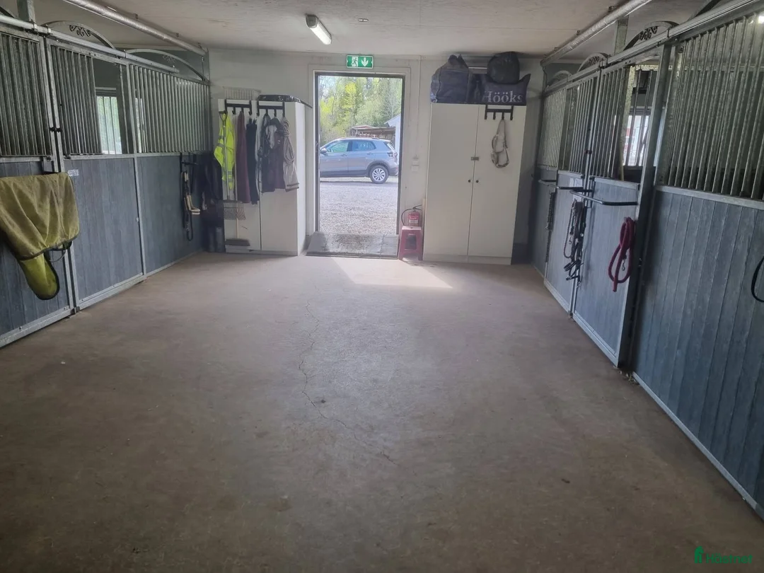  stallplats finnes: Lediga stallplats i Upplands Väsby  i Upplands Väsby - Annons 2