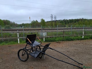 Körvagnar körning till salu: Rockard i Nynäshamn - Annons 17