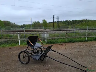 Körvagnar körning till salu: Rockard i Nynäshamn - Annons 10