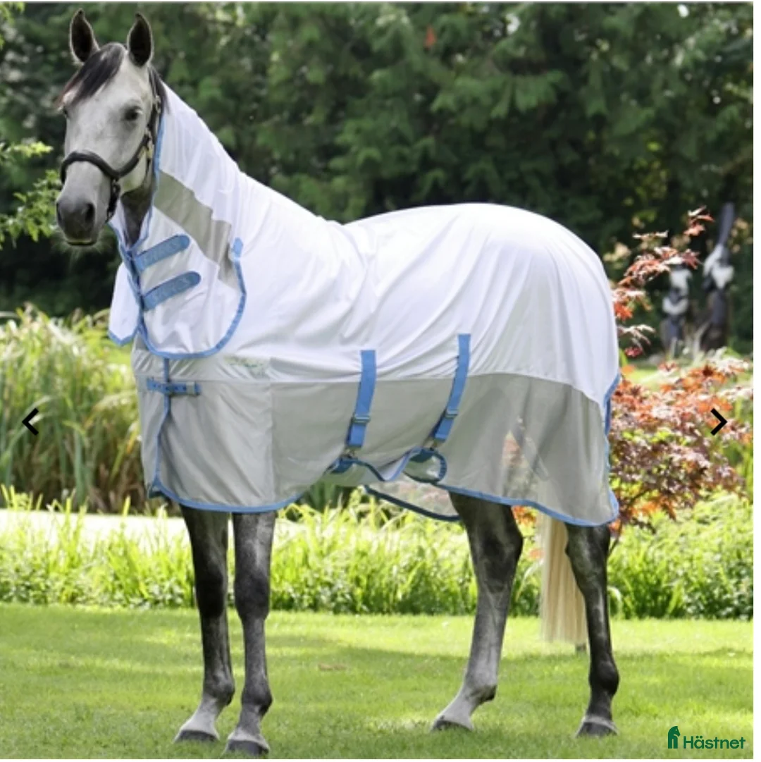 Täcken hästutrustning till salu: Shires Tempest Original Fly Mesh Combo Rug i Onsala - Annons 1