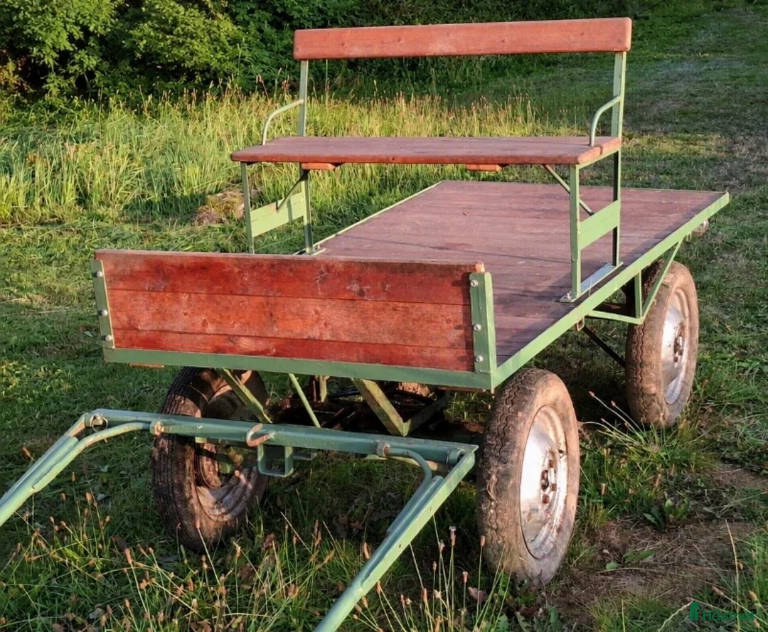 Körvagnar körning till salu: Flakvagn  - Annons 1