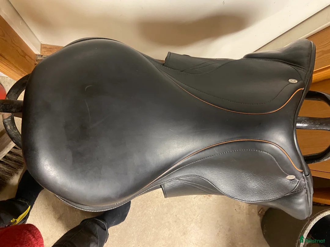 Sadlar hästutrustning till salu: Fynd superskön Equipe - Annons 2