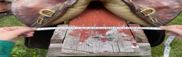 Sadlar hästutrustning till salu: Äldre sadel australiensk - Annons 6