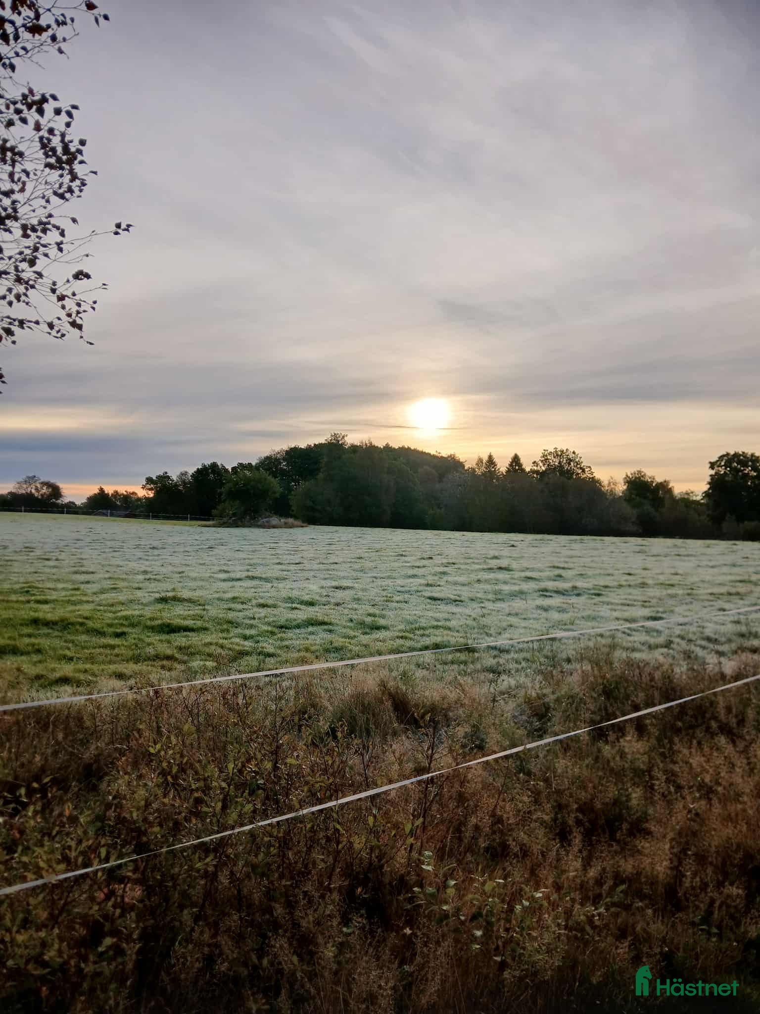  medryttarhäst finnes: Stallplats finnes i Sparsör i Sparsör - Annons 15