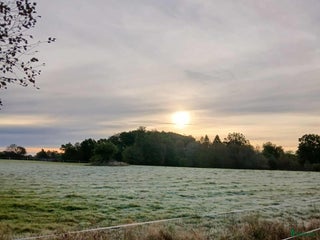 medryttarhäst finnes: Stallplats finnes i Sparsör i Sparsör - Annons 14