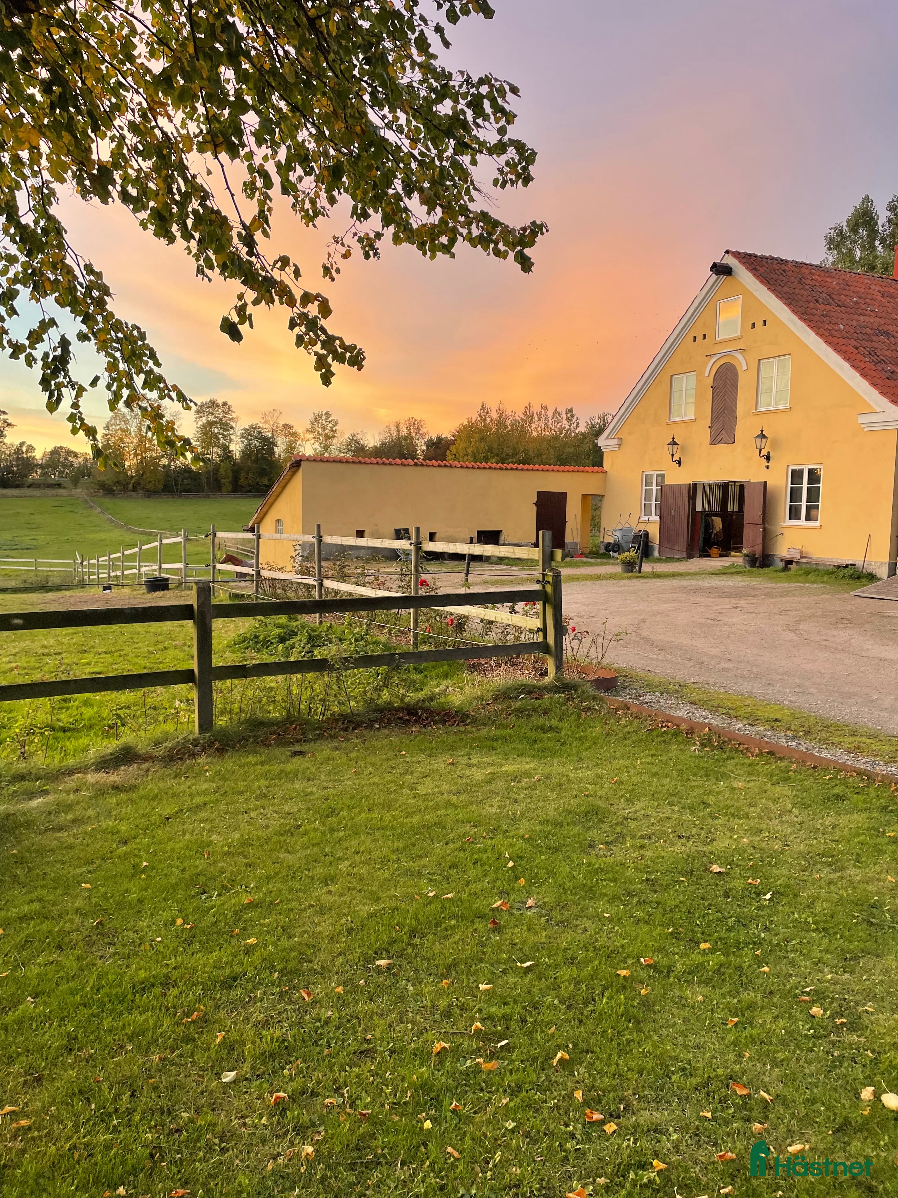  stallplats Stallplats i Klågerup 🌸 i Klågerup - Annons 8