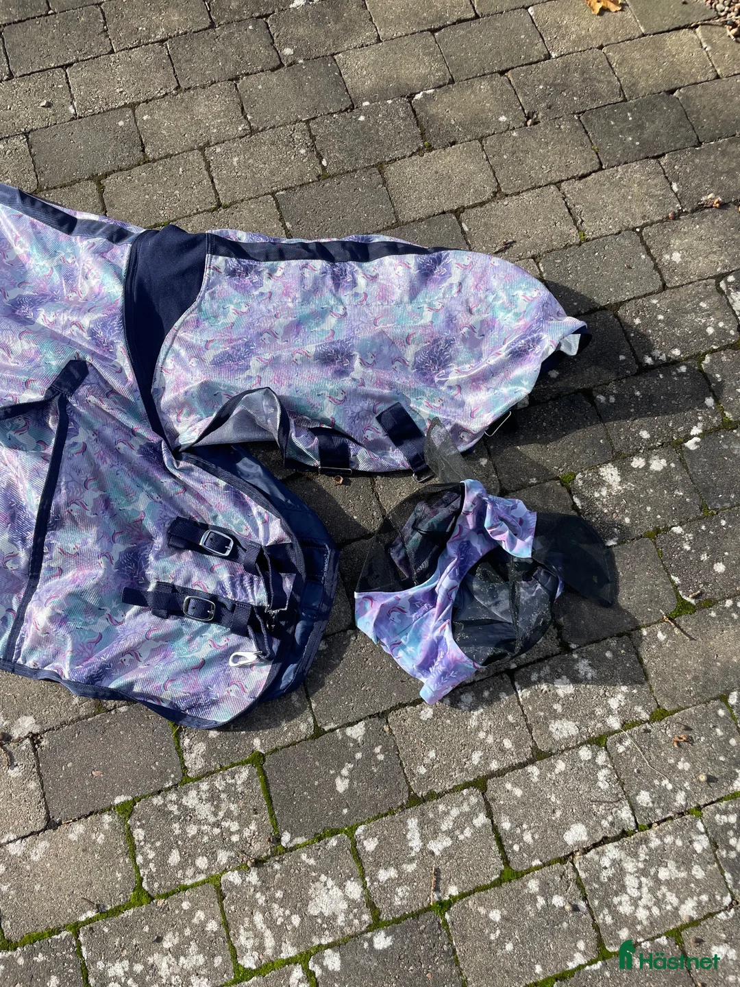 Täcken hästutrustning till salu: Flugtäcke och flughuva - Annons 1