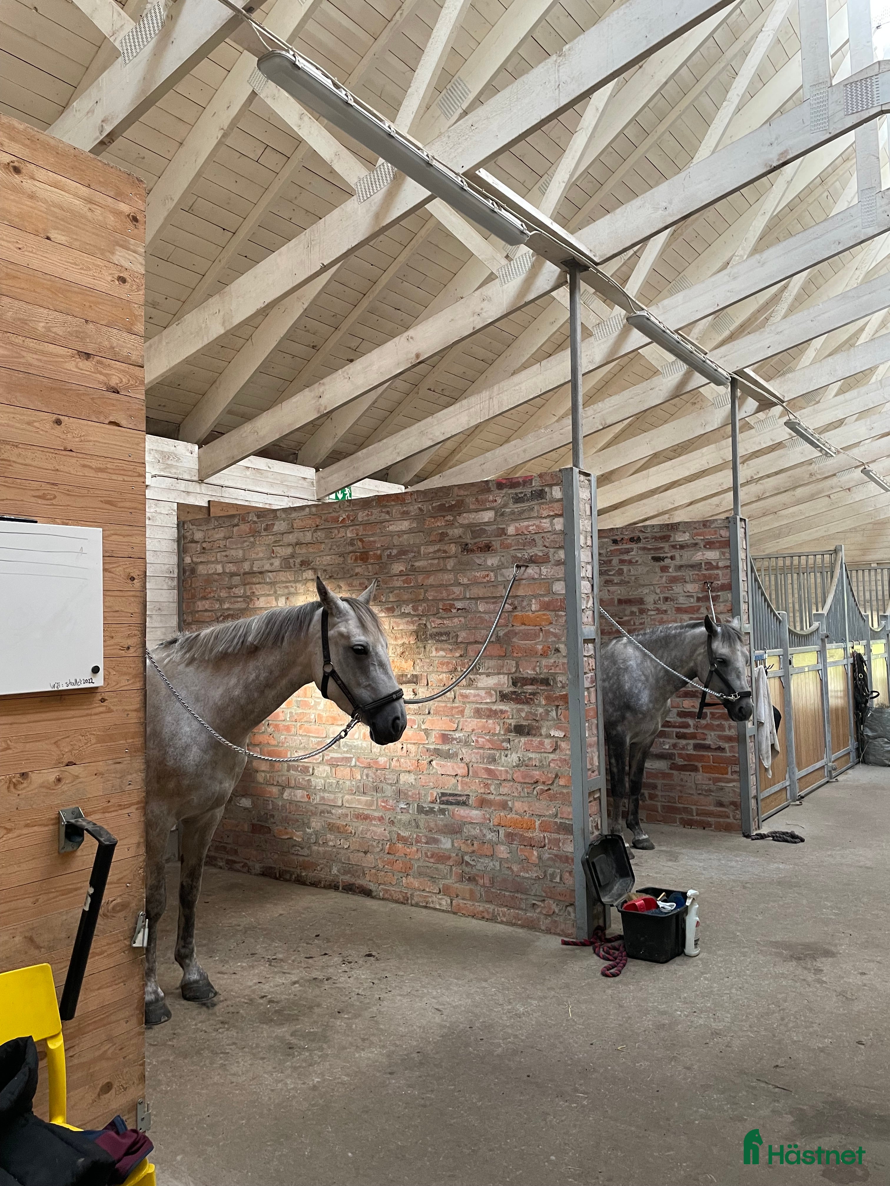  stallplats Lediga stallplatser Älmhult i Älmhult - Annons 18