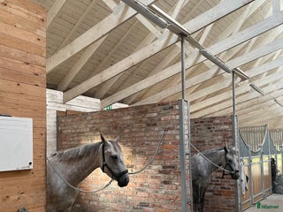 stallplats Lediga stallplatser Älmhult i Älmhult - Annons 23