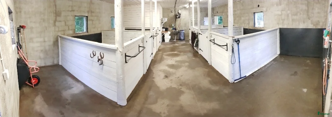  stallplats finnes: Lediga platser lösdrift/stall  - Annons 2