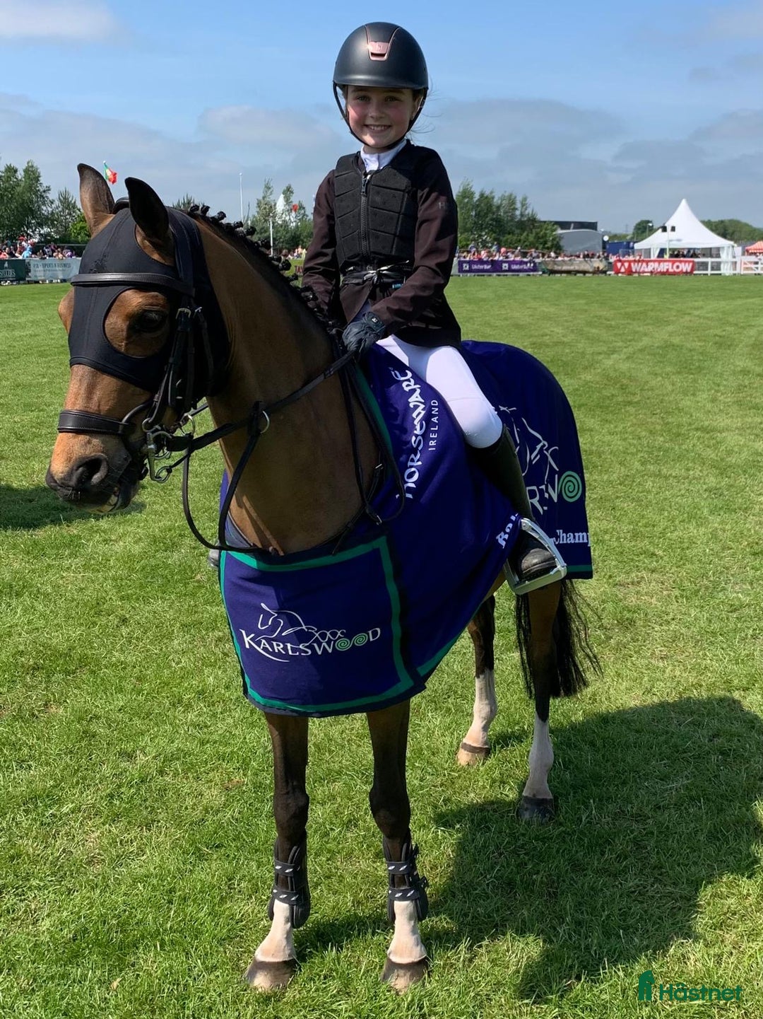 Hoppning hästar till salu: Top 128 pony, record to 1m!!!  i Stockholm - Bild 6