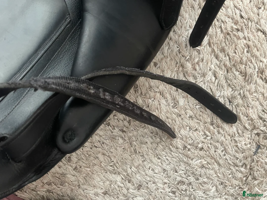 Sadlar hästutrustning till salu: Childeric dressyrsadel 17-17,5" A0 - Annons 12