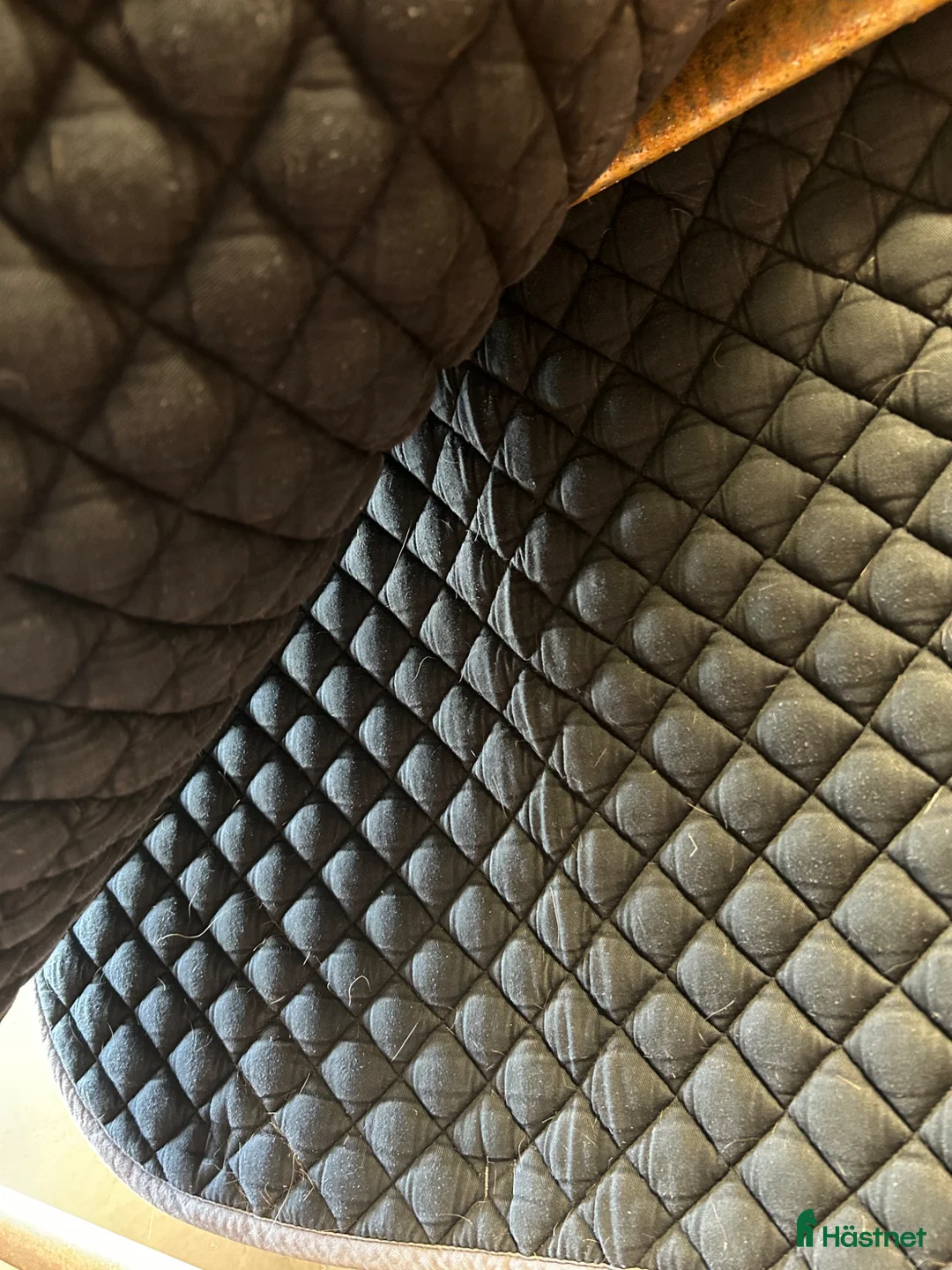 Schabrak & Vojlockar hästutrustning till salu: Unikt schabrak - Annons 2