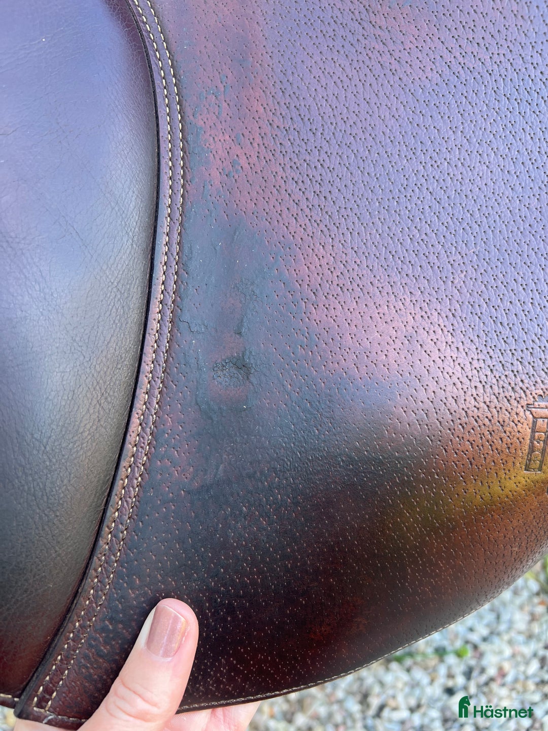 Sadlar hästutrustning till salu: Prestige Versailles  i Visby - Annons 5