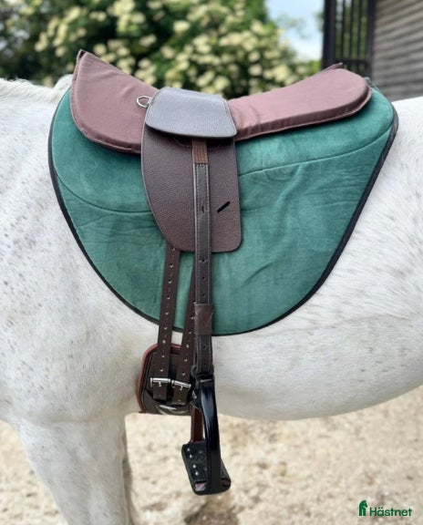 Sadlar hästutrustning till salu: TCS sadel i Höganäs - Annons 17
