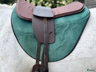Sadlar hästutrustning till salu: TCS sadel i Höganäs - Annons 6