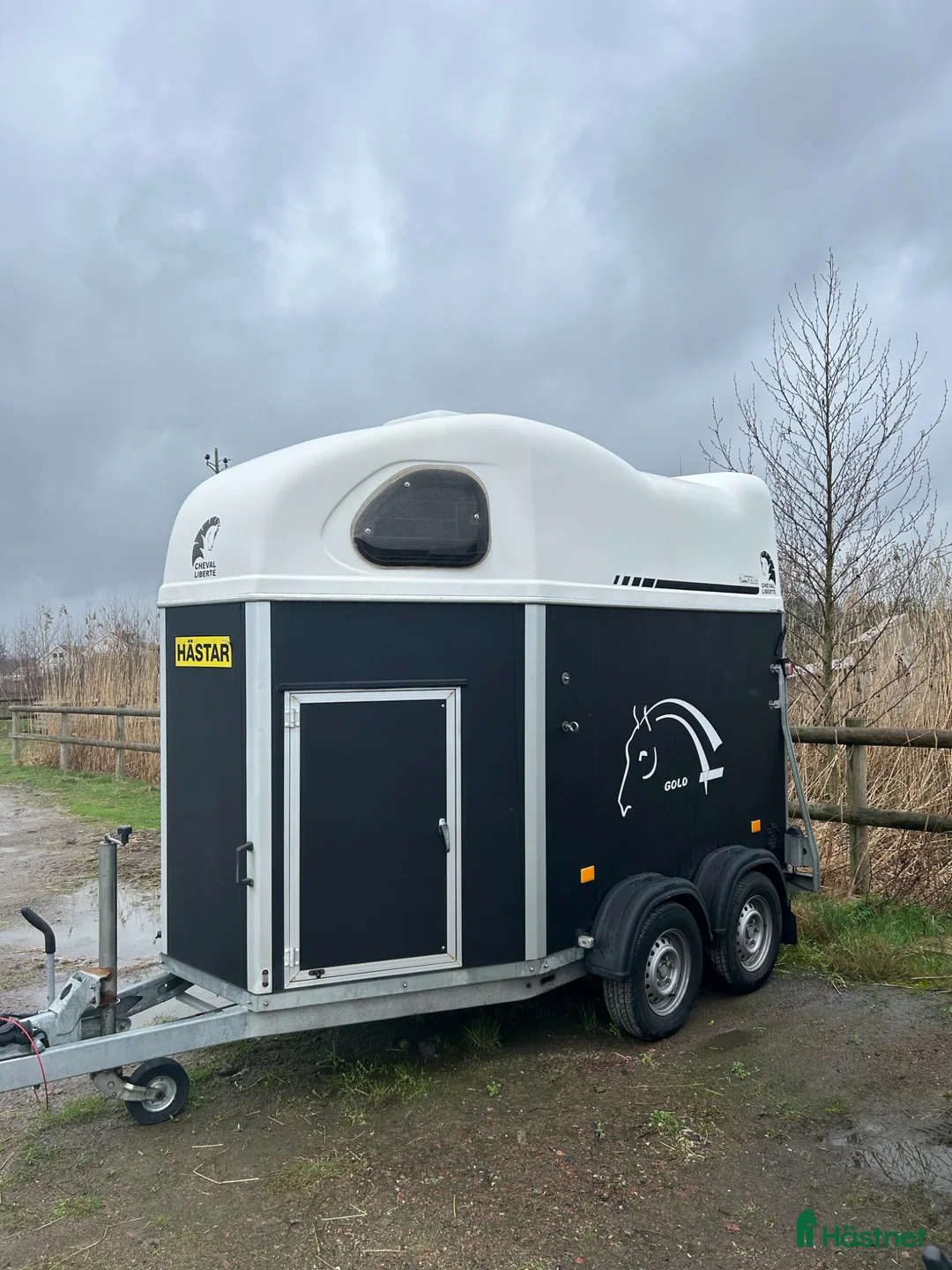 Hästtransporter  fordon & transport till salu: Cheval Gold -16 - Annons 2