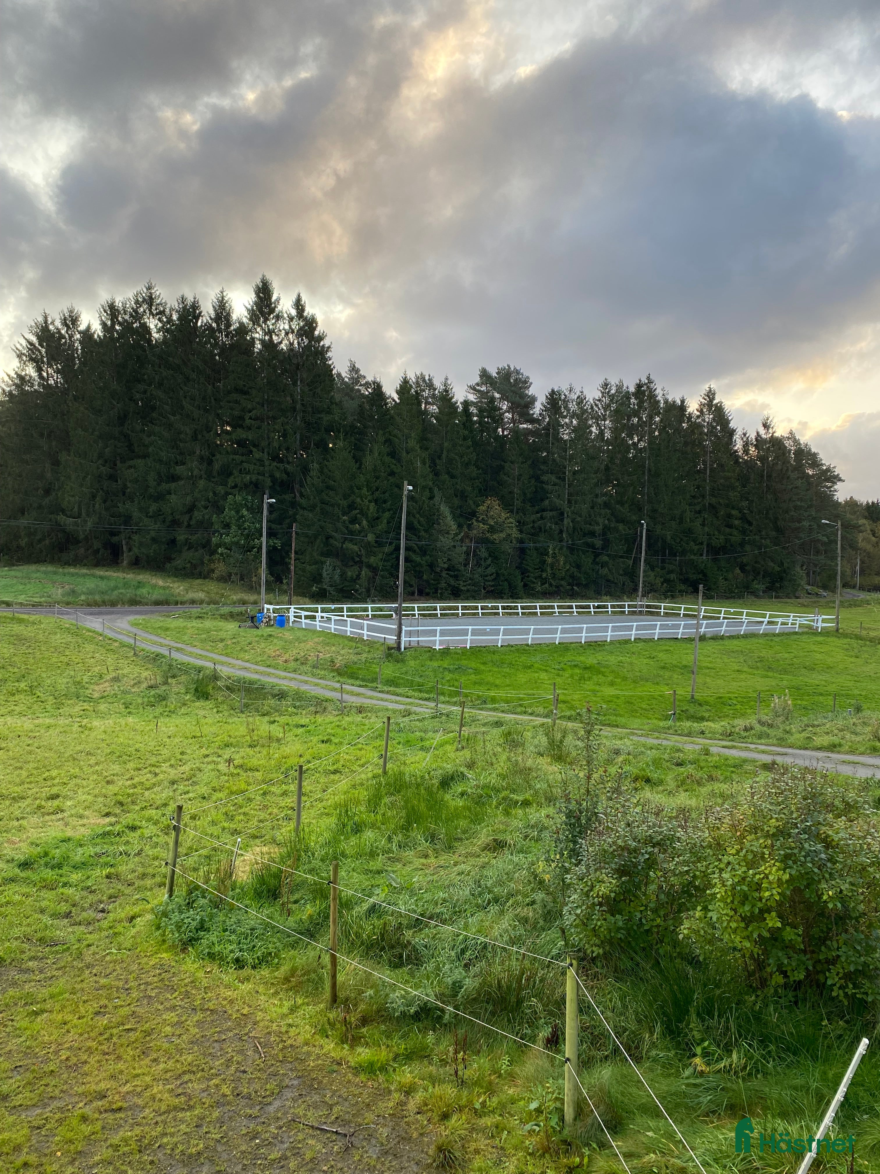  stallplats Boxplats ledig i litet mysigt stall i Partille - Annons 23