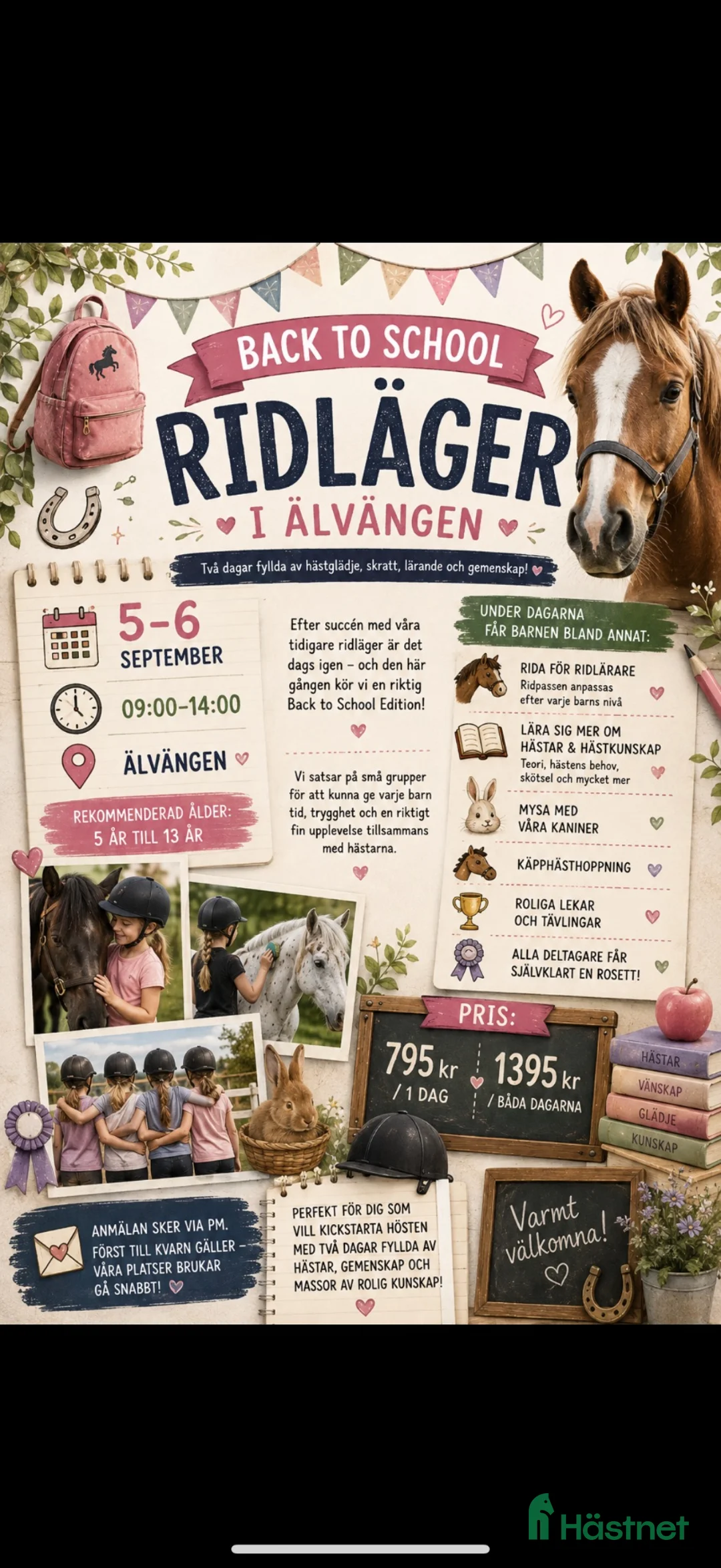  hästservice finnes: BACK TO SCHOOL RIDLÄGER - Annons 1