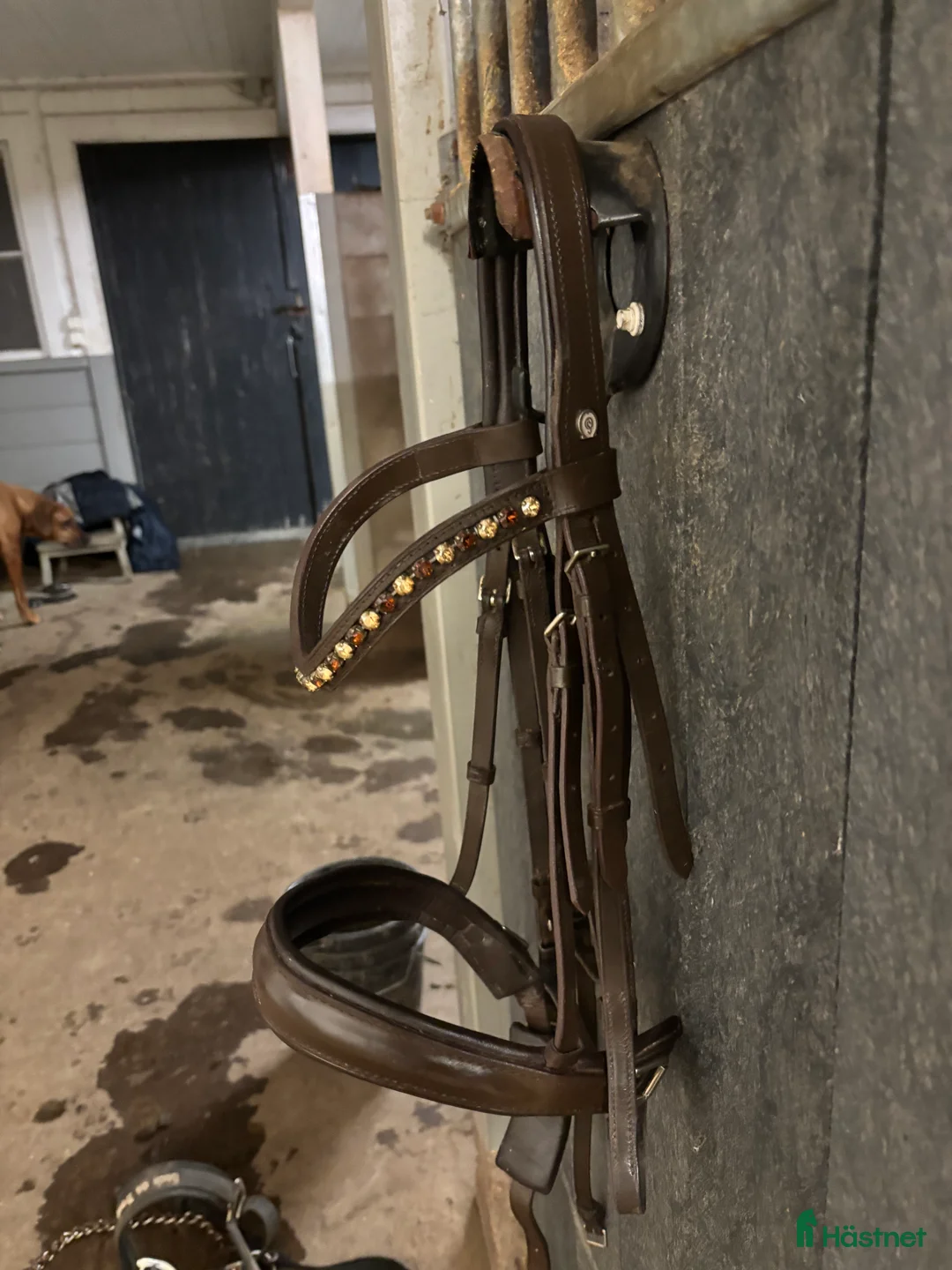 Träns hästutrustning till salu: Kandar Otto Schumacher i Gränna - Annons 4