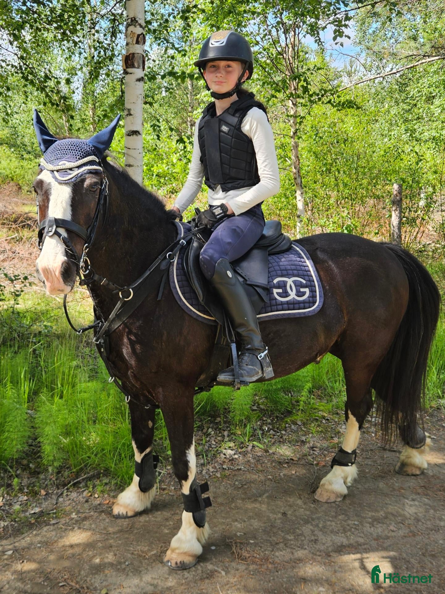  hästar Fin B-ponny - Annons 2