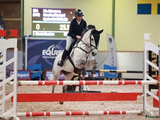 hästar Piggt D ponny sto i Göteborg - Annons 5