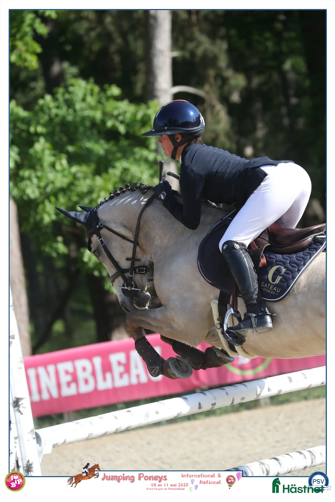 Hoppning hästar till salu: Competitive D Pony scope 120 in France i Stockholm - Annons 2