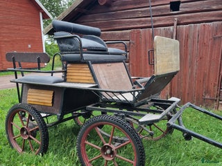 Körvagnar körning till salu: Wagonette i Vikarbyn - Annons 3