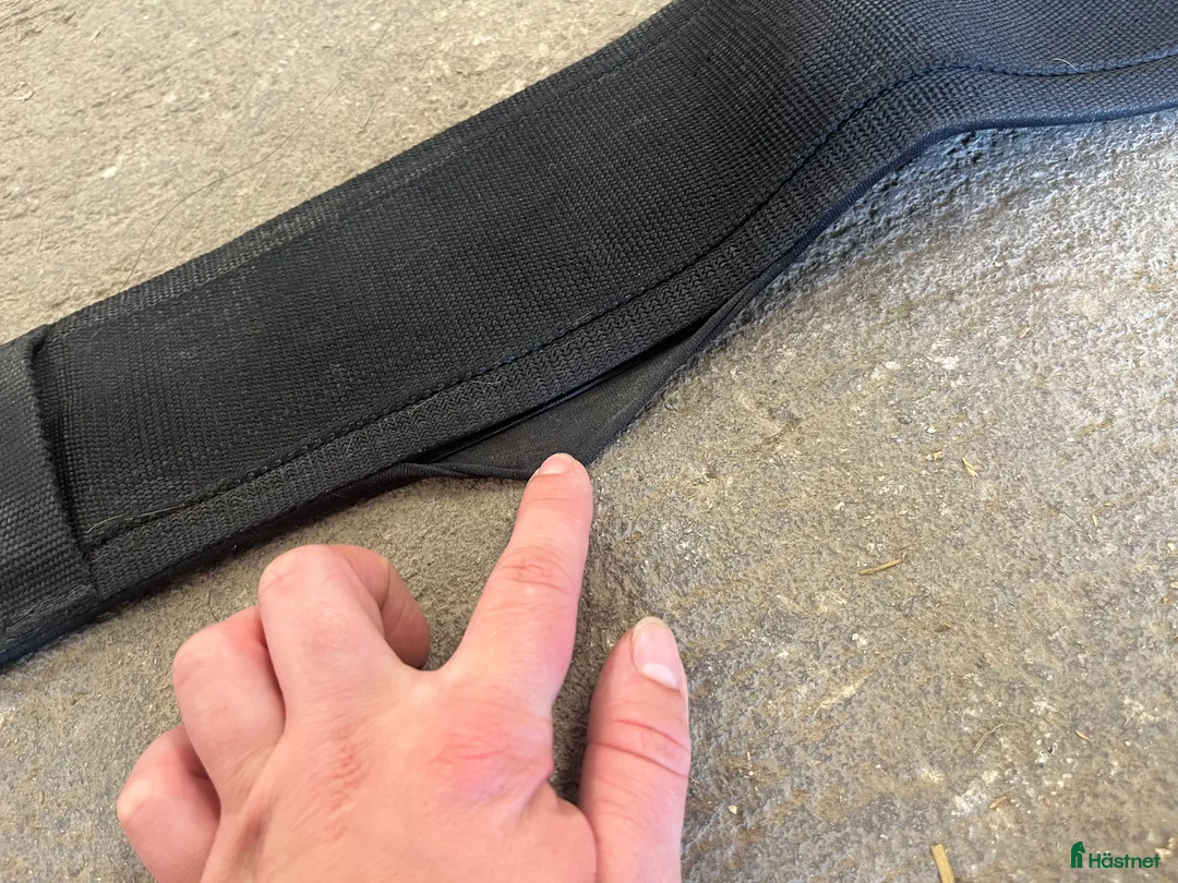 Övrig Hästutrustning hästutrustning till salu: Mag gjord  i Nossebro - Annons 3