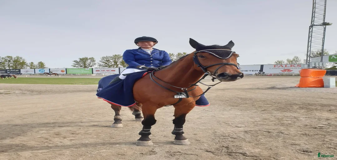 Galleribild {{count}}