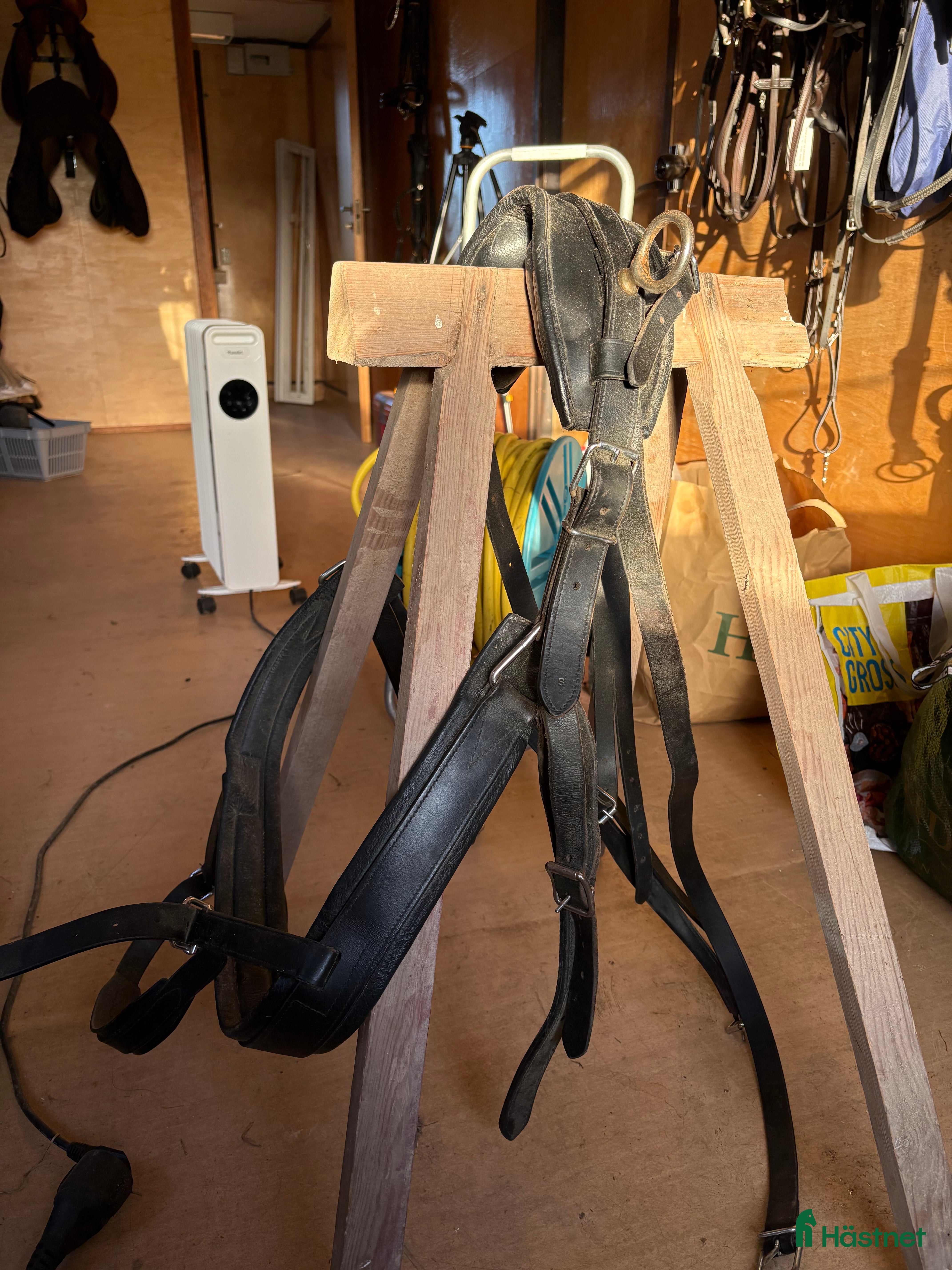 Körselar körning till salu: Bröstsele shetland i Vikbolandet - Annons 2