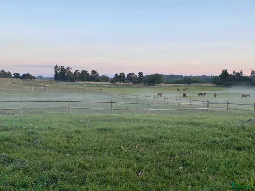 Galleribild {{count}}