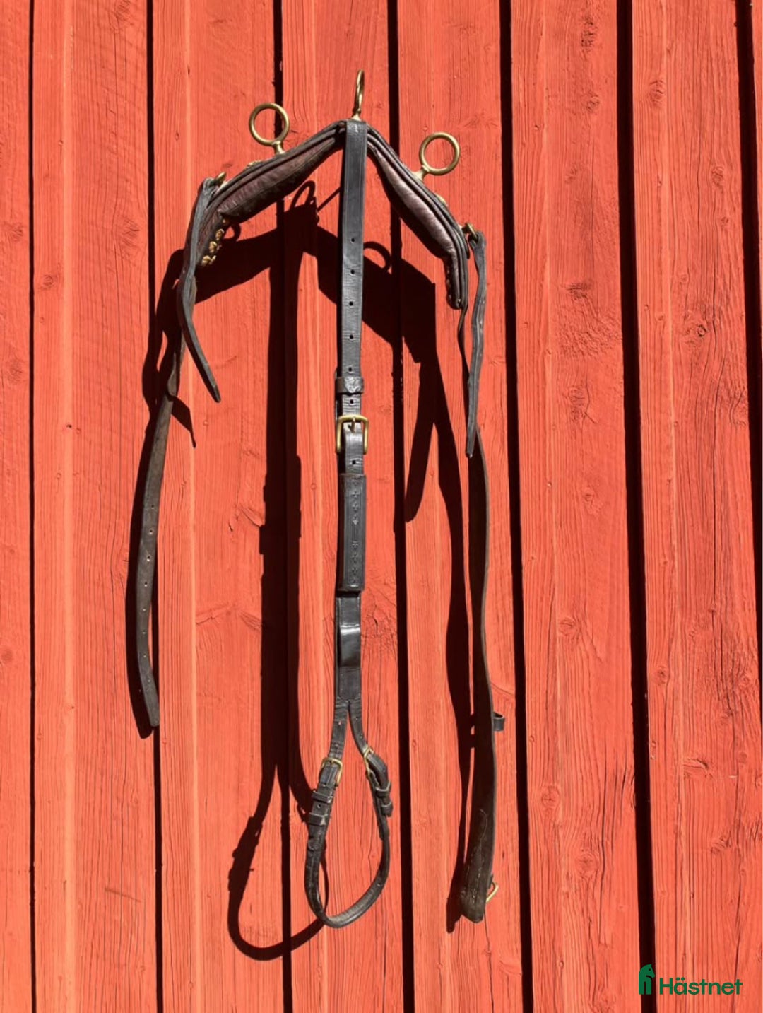 Övrig Hästutrustning hästutrustning till salu: Ovanlig sele och träns i Forserum - Annons 5