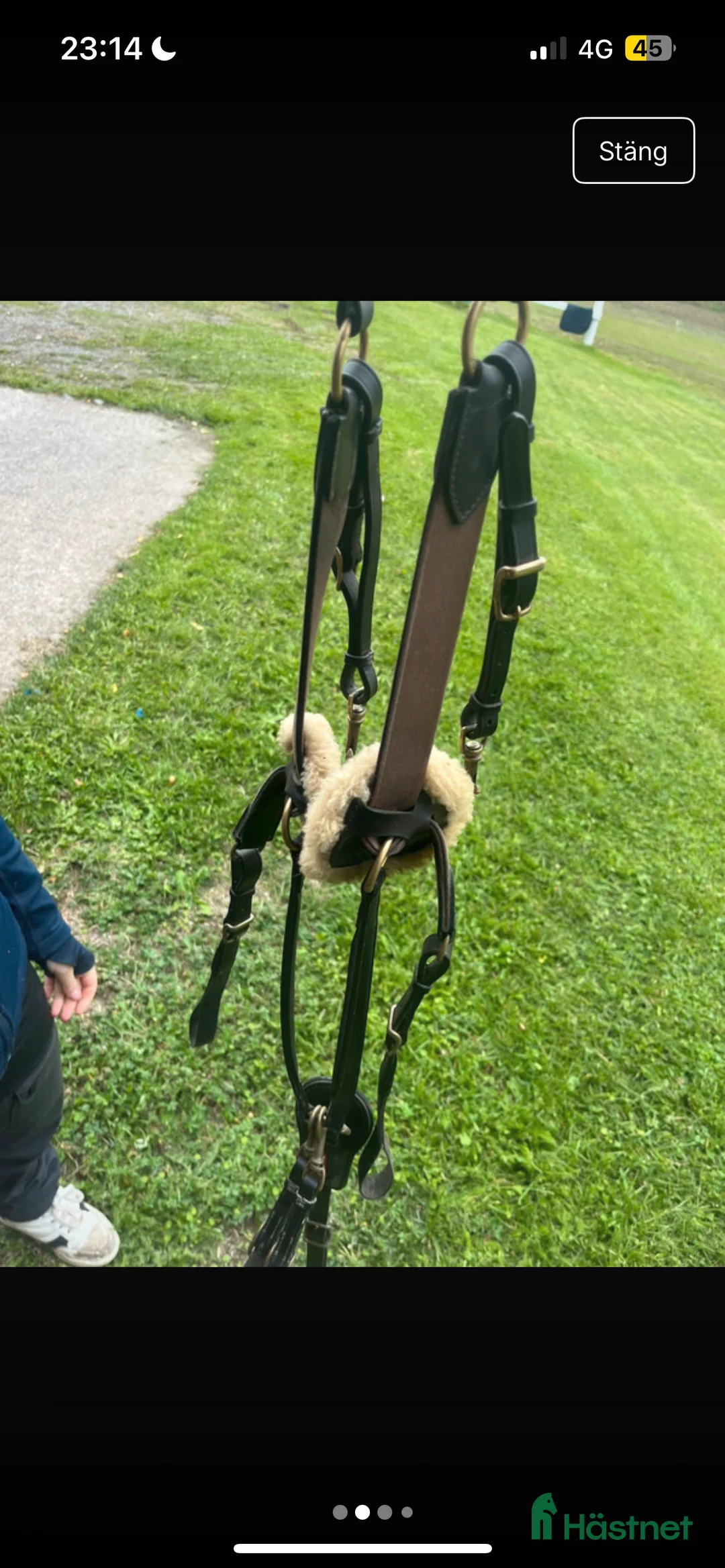 Övrig Hästutrustning hästutrustning till salu: Förbygel equipe i Eksjö - Annons 3