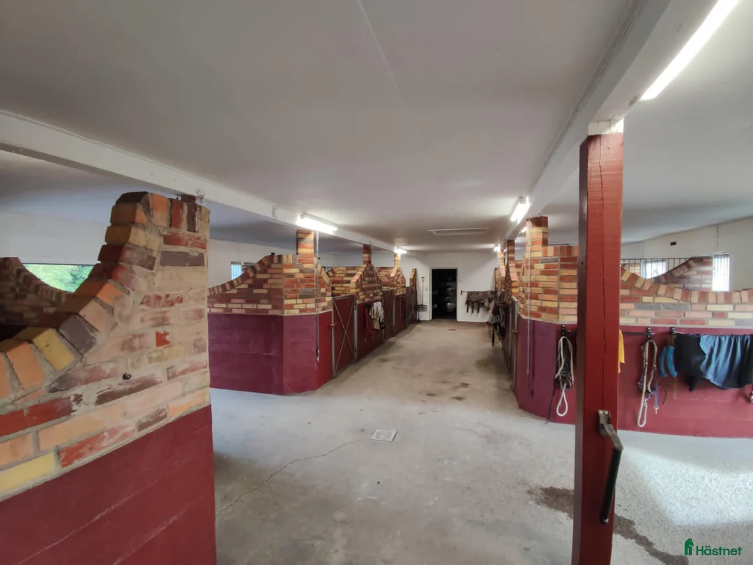  stallplats finnes: Stall Nygården har lediga platser - Annons 6