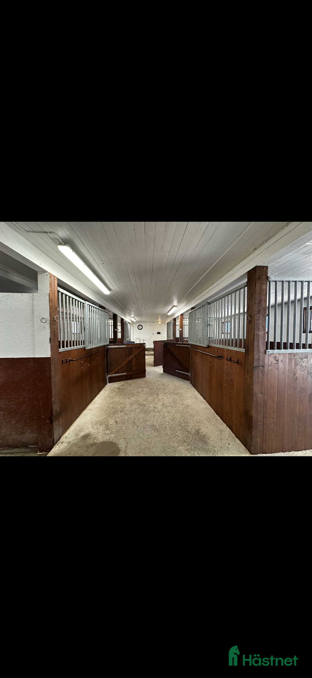  stallplats finnes: Lösdriftsplatser finnes  i Linneryd - Annons 7