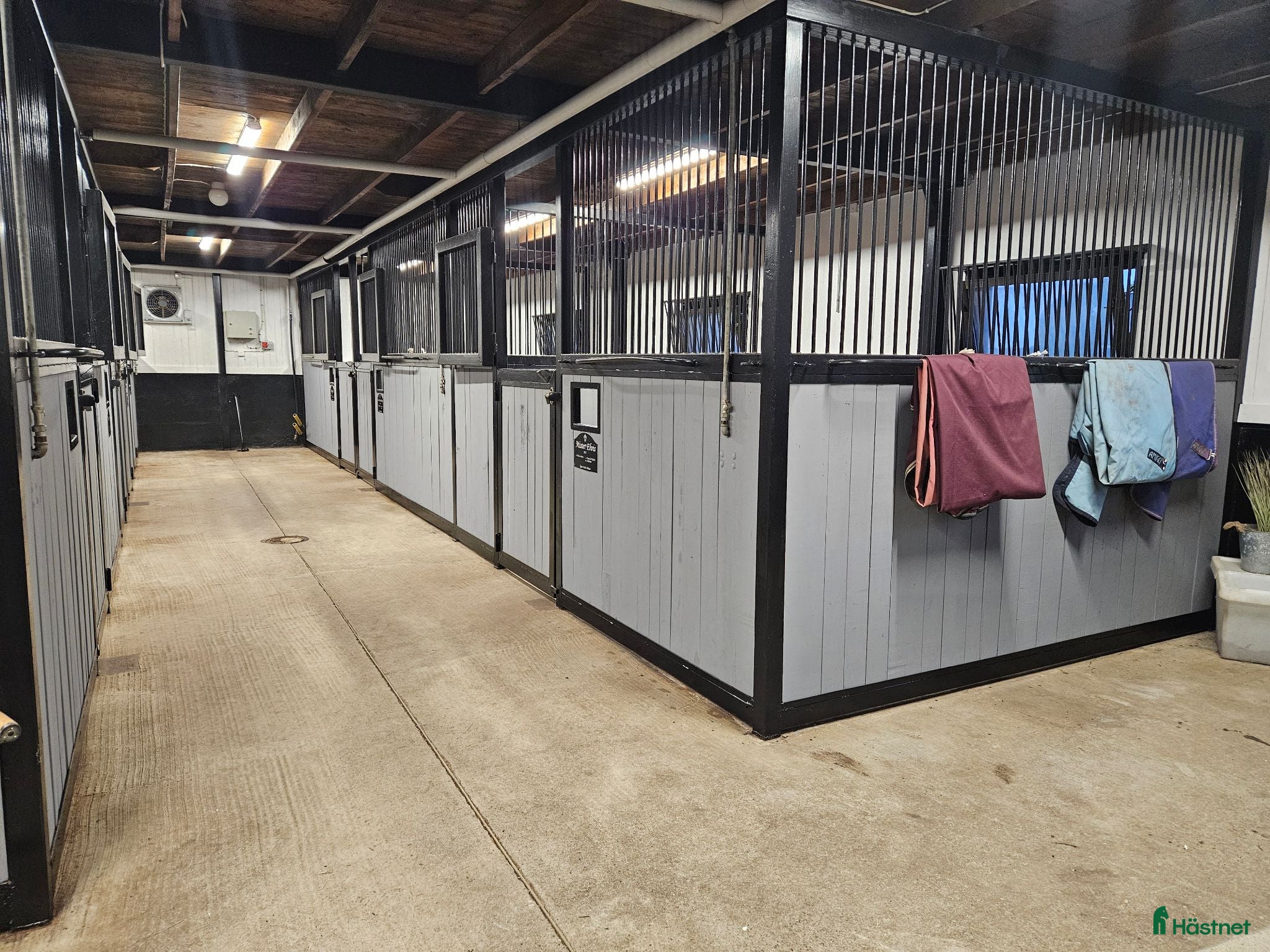  stallplats Stallplats uthyres i lugnt och trivsamt stall 🌟 - Annons 9